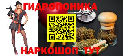 стафф Камышлов