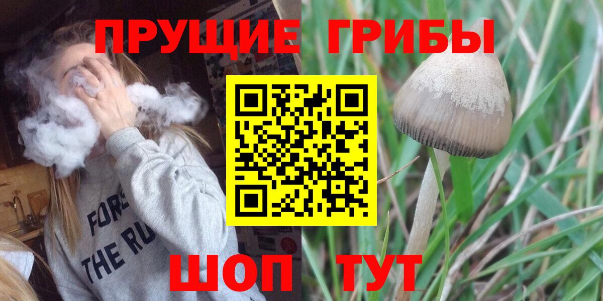 Лангепас  Галлюциногенные грибы Psilocybine cubensis  Галлюциногенные грибы мухоморы  Вход с VPN 